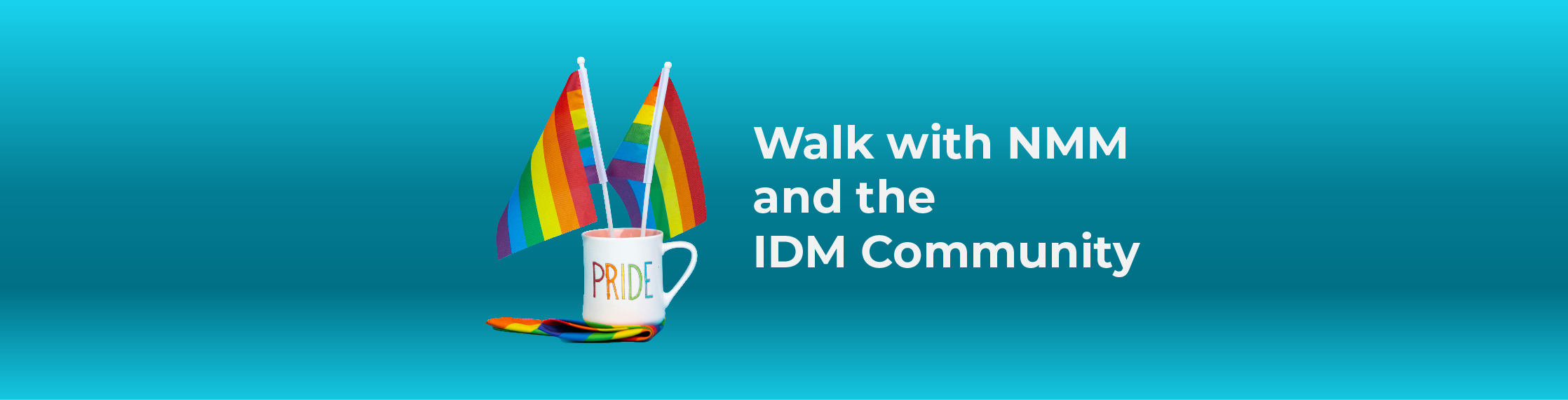 Walk with NMM & the IDM community