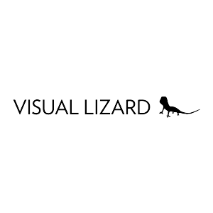 Visual Lizard
